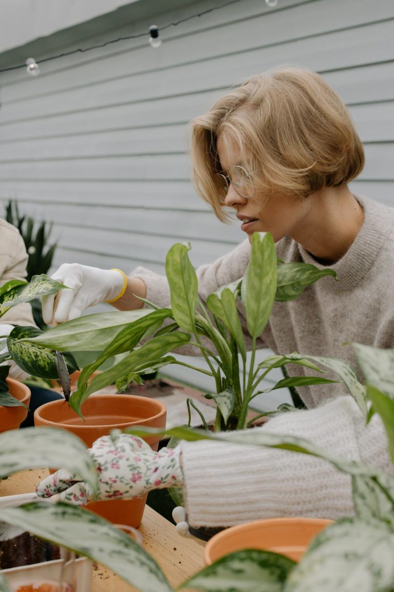 Why Are My Calathea Leaves Curling? Complete Fix Guide