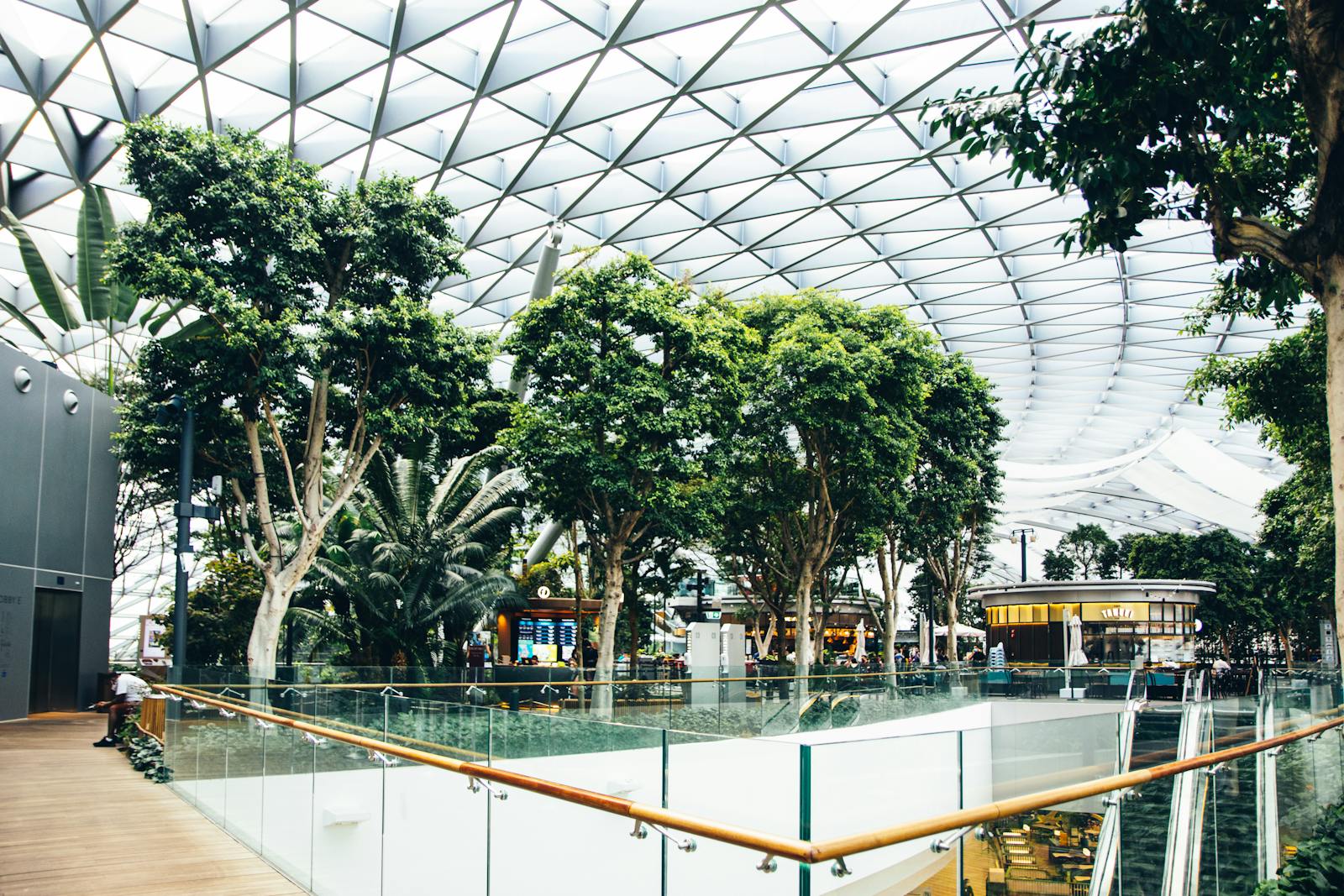 A contemporary shopping mall showcasing an indoor garden with trees under a geometric glass ceiling.