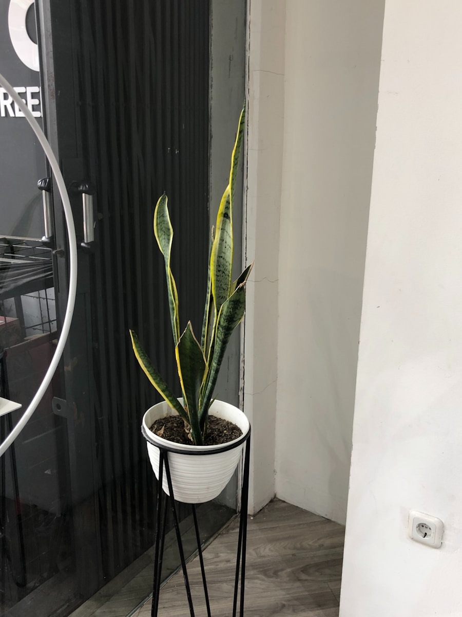 a potted plant sitting on top of a metal stand